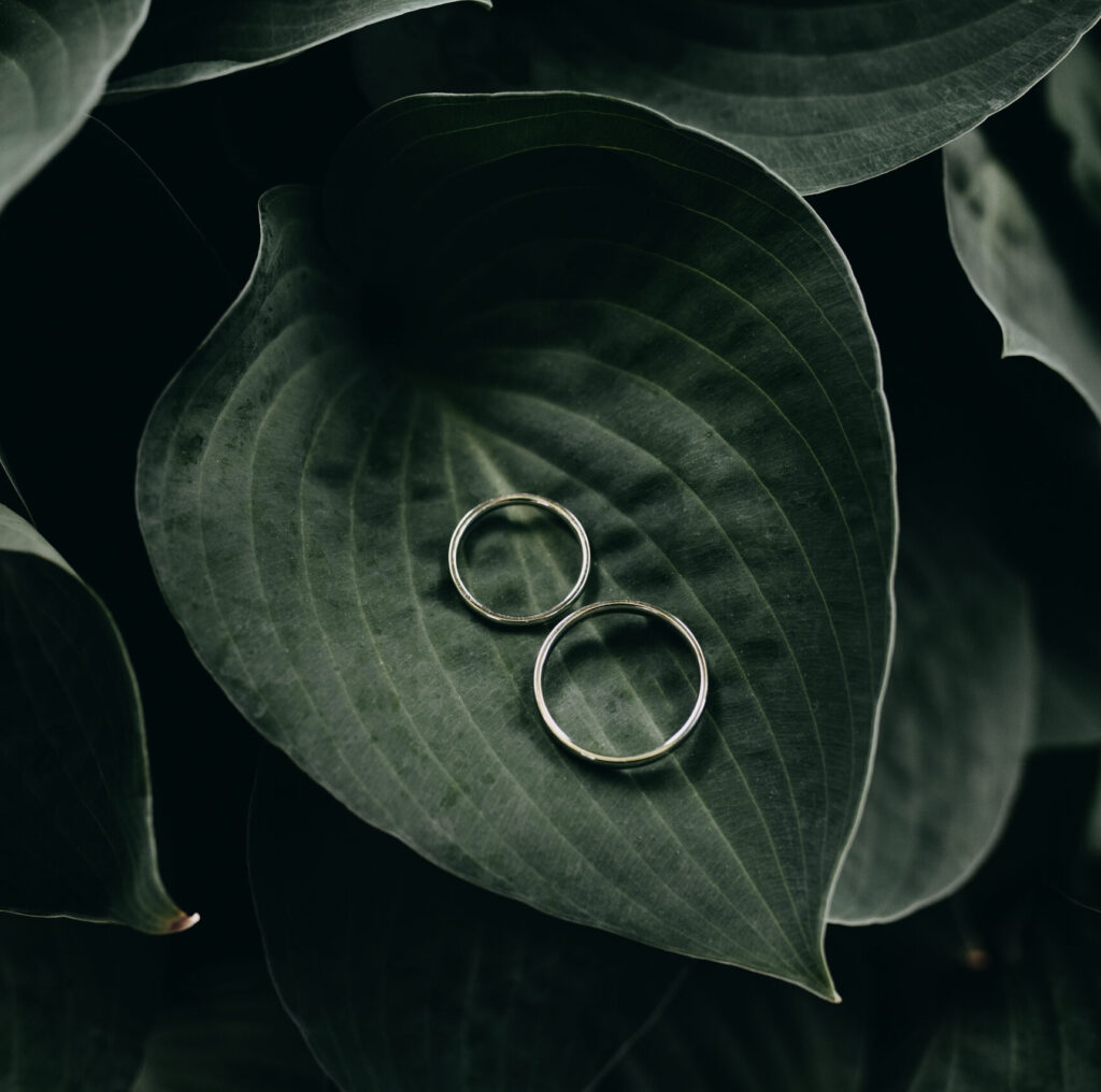 Fotografie snubních prstenů
